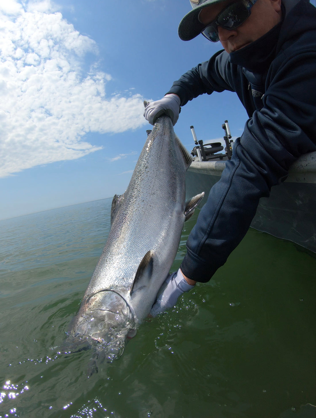 Blood Run Salmon Fishing