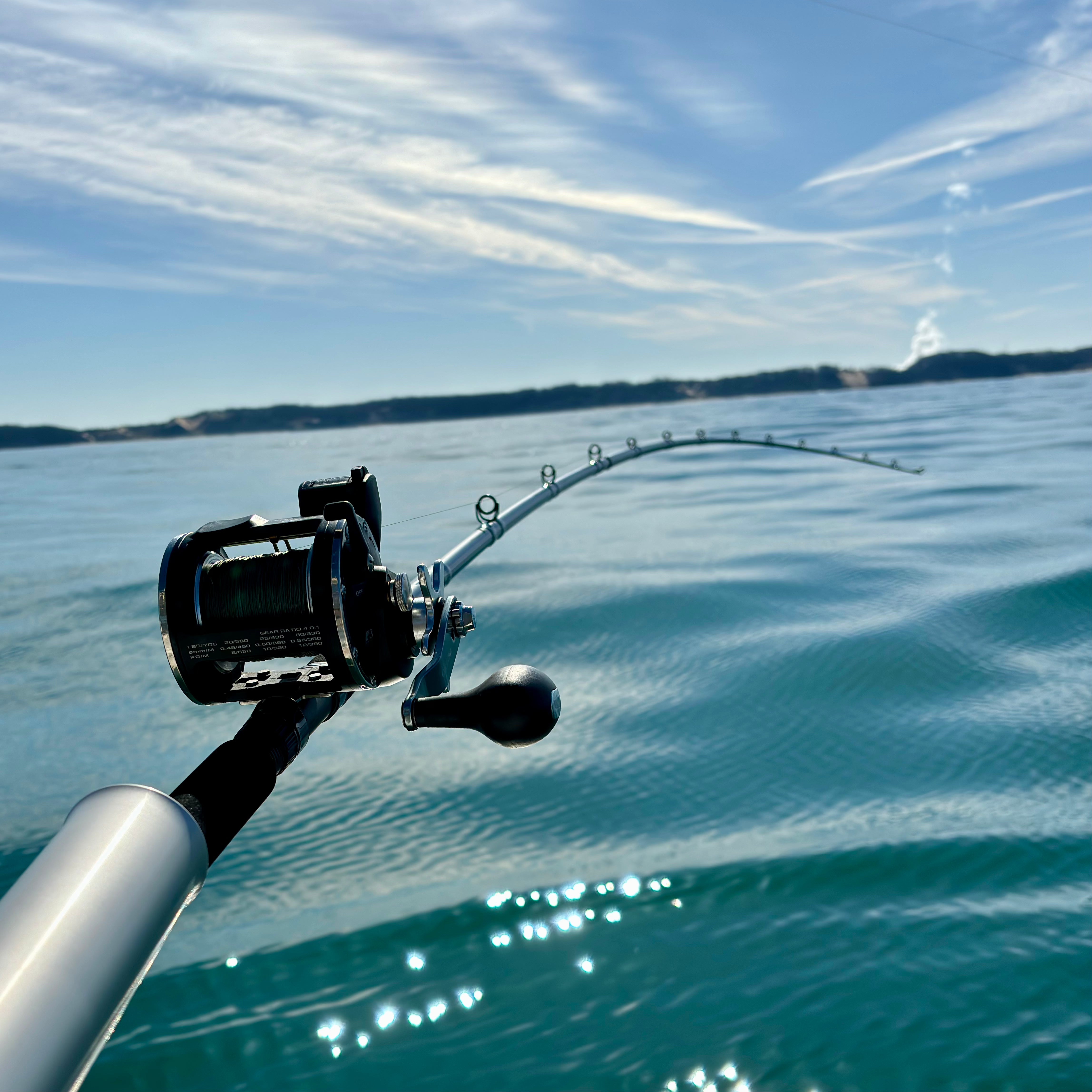 Great Lakes Dipsy Diver Rod - 10' - Heavy - 2 Pack